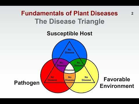 Fundamentals of Plant Diseases - Slide 2 - THE DISEASE TRIANGLE