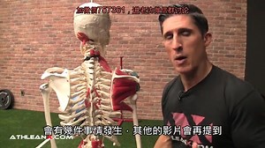 youtube之athleanx 部分教程集锦