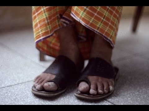 PAPAJI - Its so simple! (Full Compilation)