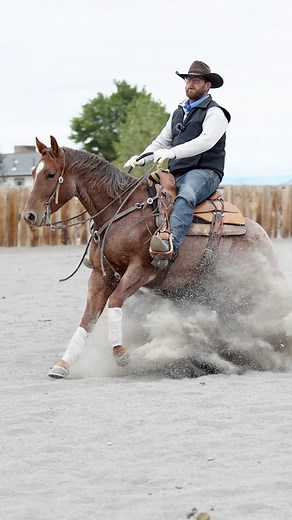 JS Call Me Phil, by @_call_me_mitch_ , earned the High Cow Score at the Idaho Reined Cow Horse Futurity with a smoking 220 on the fence! 🔥 Owned by George & Robin Shine, this little horse just keeps proving he’s got grit, try, and a whole lot of heart. #VanBelleCowhorses #JSCallMePhil #Toothless #HighCowScore #CallMeMitch #NRCHA #ReinedCowHorse #IdahoFuturity #CowHorseGrit #PrimalCowgirlCollective | VanBelle Ranch