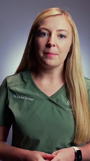 Understanding Pyometra in Dogs and Cats