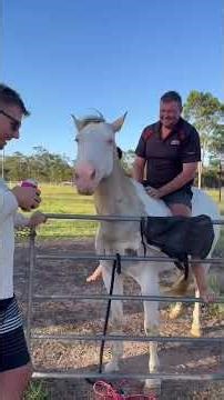 a55ec1200c2681a0ee798b25c24f7d15