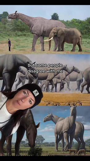 Paraceratherium: The Tallest Mammal to Ever Exist