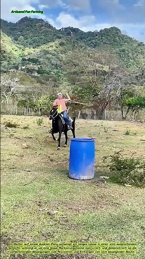 Lasso-Training im Reitsport: Verfeinerung der Lasso-Technik vom Pferd aus