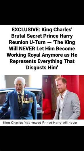 Miss Coco (@miss.coco53)’s videos with original sound - 🌻🐝👑