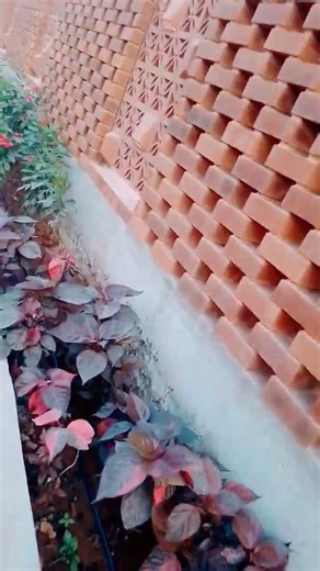 🥰🥰🥰🥰🥰🥰🥰🌹🌹🌹🌹