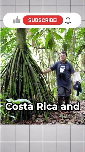 The Amazon Tree That Can Walk? Myth or Reality