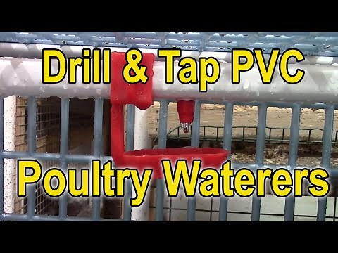 Quail Waterers - How to Drill & Tap PVC