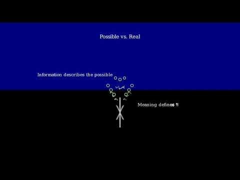 Information vs Meaning: How Data Becomes Understanding