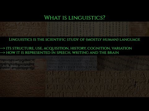 Linguistics 101: Short Introduction into Various Fields