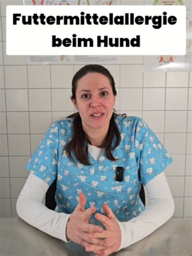 Hat Ihr Hund vielleicht eine Futtermittelallergie? 👀🐶 #tierarzt #tierarztpraxis #hund #hundehalter #doghealth #tiktokgermany #hilfe