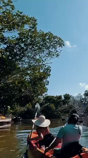 209K views · 779 reactions | Once you try one of our snorkeling...