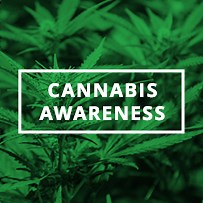 The Cannabis Awareness Hub - Intervention Hub