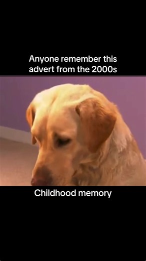 #fyp #childhoodmemory #childhoodnostalgia #2000sadverts #2000s | childhood nostalgia 2000s