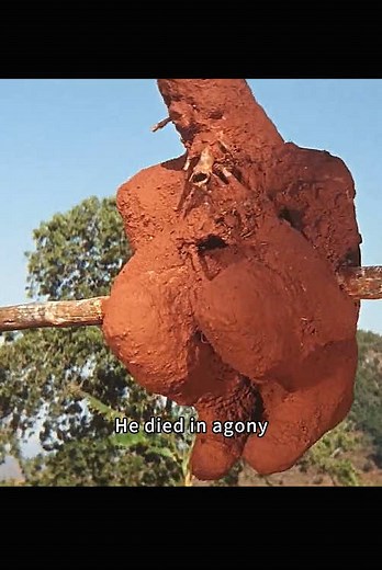 #movie #film #foryou | green inferno movie