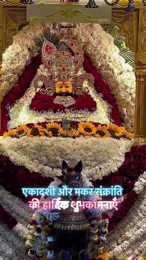 एकादशी और मकर संक्रांति की शुभकामनाएँ