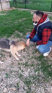 5.3K views · 269 reactions | LE CONDIVISIONIIIIIIIII , LE C O N D I...