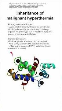 Inheritance of malignant hyperthermia