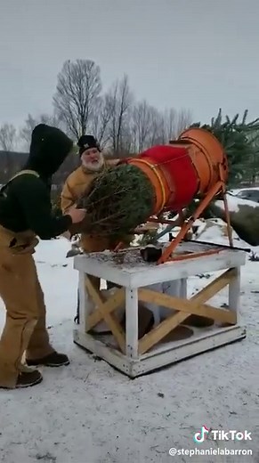 Maple Hill Farm - Barton, VT on TikTok