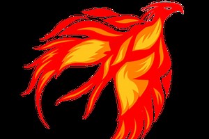 Project Phoenix