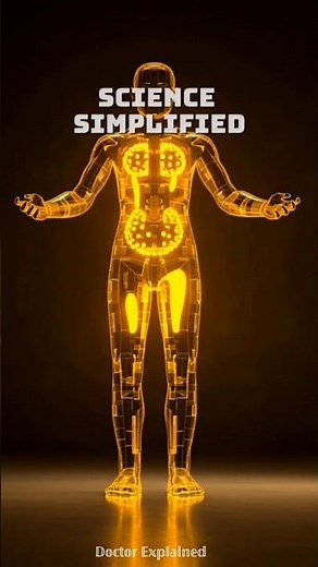 Can Your Bladder Actually Burst? 😳 | Doctor Explained