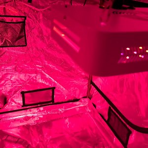 Watch Bring the sun on Amazon Live