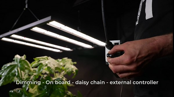 MIGRO ARAY 4x4 LED Grow Light for Indoor Plants, Foldable Dimmable 500W Full Spectrum Plant Light for 4x4 ft Grow Tent Veg Flower, 4 LED Bars Dimming Daisy Chain