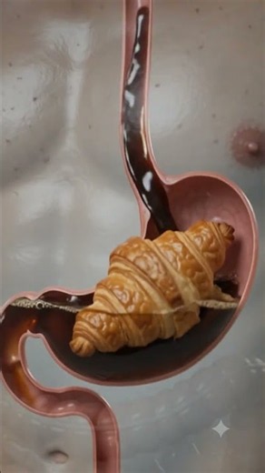 What Happens Inside Your Body When You Eat a Croissant & Drink Coffee? ☕🥐 | 3D Anatomy Animation