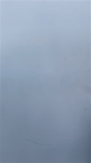 ‎Pets Station🐾 بت ستيشن‎ on Instagram