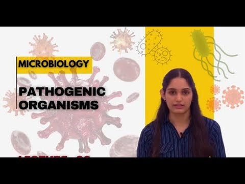 Human Immunodeficiency Virus (HIV) | AIDS | Pathogenic organisms |