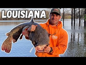 HOOP NET Fishing For Louisiana River Monster Catfish! (CATCH AND COOK)