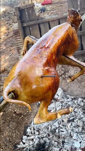 Traditional Village Feast: Grilling a Whole Calf Over Open Fire#food
