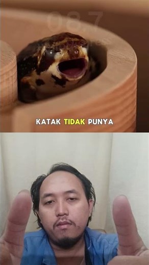 Cara Katak Makan!! #shorts #viral