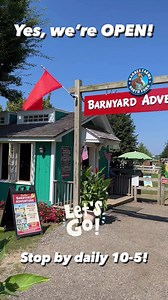 1.3K views · 4 comments |  Every Day is a Barnyard Adventure Day! Guess what? The Barnyard is open daily from 10-5 through November 21, weather permitting.  Don't miss out on family fun, fall treats, fresh produce at our Farmstand, wine at our Wine Barn, and remember, your season passes are your November golden tickets! ️#HarbesFarm #DailyAdventures #FamilyFun #FallTreats #FarmstandFinds #SeasonPassMagic  | Harbes Family Farm | Facebook
