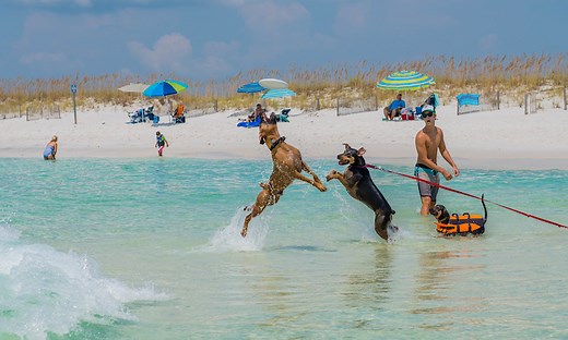 When Does Summer Actually End? The Answer is Complicated.