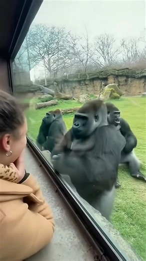 71K views · 172 reactions | A moment of relief she truly needed part #viralmemes #relatable #fblifestyletyle #Christmas | Americana Whispers | Facebook