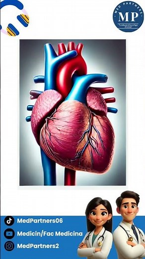Wonders of the Human Body: A Sequence of Life and Regeneration