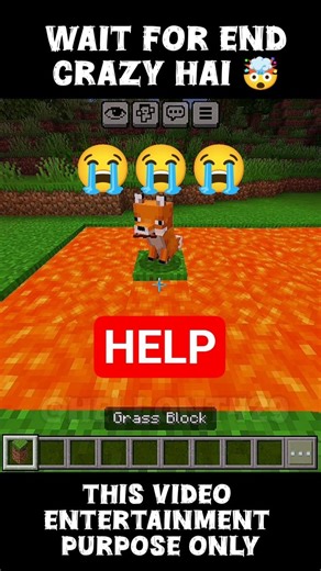 I Had To Choose Rescue 3 Second: SAVE THE FOX 🦊 or 100 DIAMONDS? 💎 #shorts #minecraft 😭