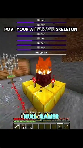 pov : you are a minecraft skeleton