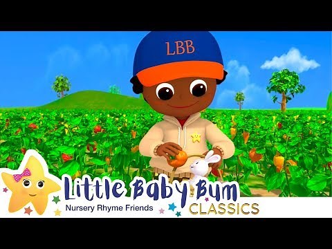 Peter Piper | Nursery Rhymes and Kids Songs | Little Baby Bum