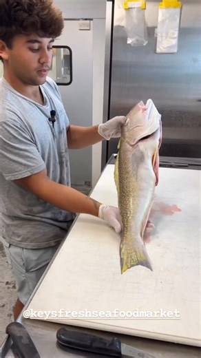 Get fresh seafood delivered overnight right to your door from Keys Fresh Seafood Market! Order by 1 PM and receive it the next day. They also carry the best Key West pink shrimp, royal reds and local fresh fish and lobster! 🦀Order online or visit the market at 6840 Front St. on Stock Island. Open daily 9am-6pm. Be sure to tell them Key West Finest sent you! http://bit.ly/FreshSeafoodMkt | Key West Finest