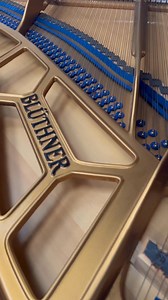 Bluthner baby grand 5ft, Walnut with cabriole legs | Roberts Pianos