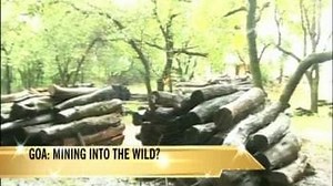 Goa: Mining into the wild?