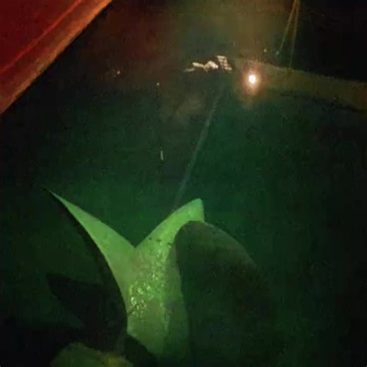 pididi (@pididi5743)’s videos with оригинальный звук - pididi