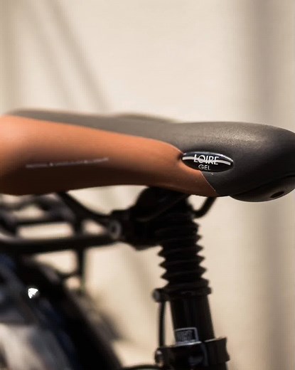 Hohe Reichweite und unfassbarer Komfort: Ein echtes Allroundtalent, deine Gazelle Arroyo C8 HMB Elite. | Gazelle