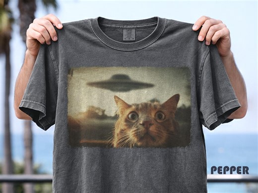 Alien Cat T-shirt, UFO Sweatshirt, Funny Cat Shirt, Orange Cat Tee, Surreal Art, Cat Lover Gift, Cute Cat Tee, Sci-fi Cat Gift - Etsy