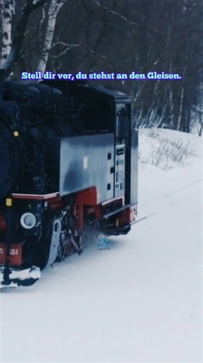 5.3K views · 110 reactions | Wie laut ist eine echte Dampflokomotive?...