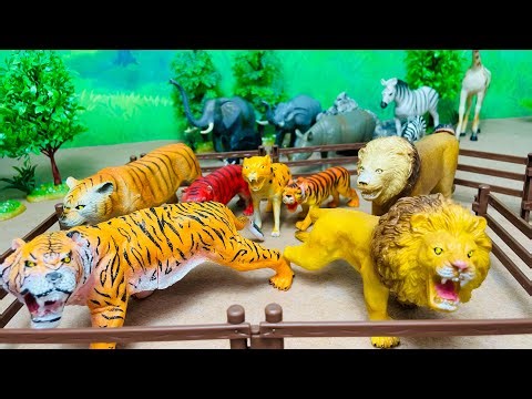 Creating a Mini Zoo with Animal Toys | Fun and Learning for Kids!