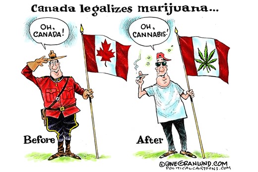 Local View: Minnesota can learn from others in decriminalizing cannabis