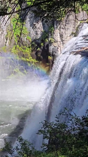 Some fun facts about Upper Mesa Falls, Ashton, Idaho At roughly 114 feet (35 m) high and 200 feet (61 m) wide, the falls are formed by the Henrys Fork of the Snake River cascading over remnants of an ancient volcanic super-eruption. The rock layers over which the falls pour, were formed approximately 1.3 million years ago! Have you ever been? // Video: Susan Brudd | KÜHL